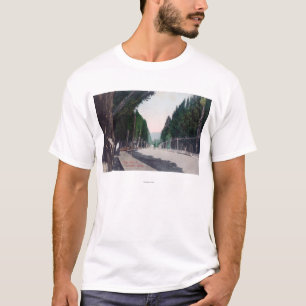 Camiseta Opinión del este sobre StreetLewiston principal,
