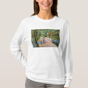 Camiseta Opinión del parque de Beardsley del puente de