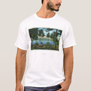 Camiseta Opinión del parque del cisne de Brown del lago