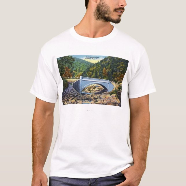 Camiseta Opinión del rastro del Mohawk del puente frío del (Anverso)