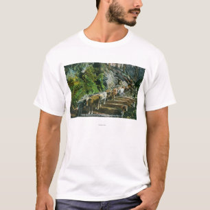 Camiseta Opinión los Buey-Equipos que acarrean registros