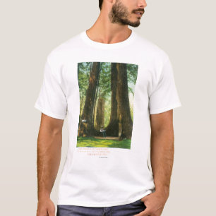 Camiseta Opinión los gemelos de la secoya en la arboleda