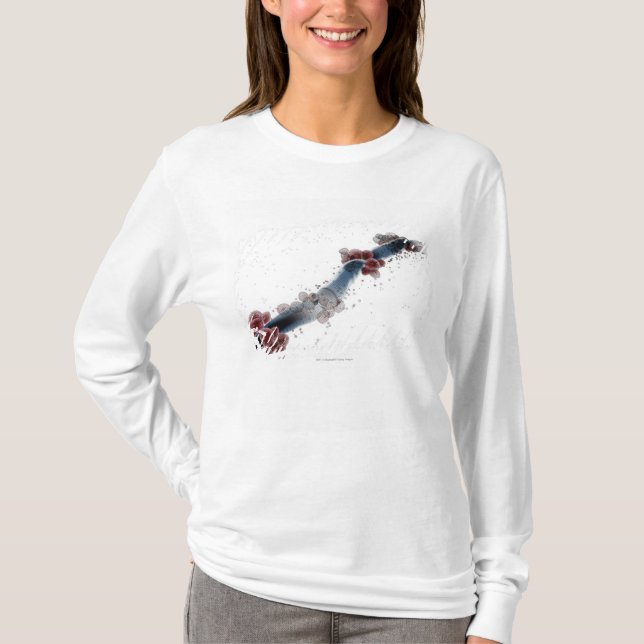 Camiseta Opinión microscópica de Wireframe de los albicans (Anverso)