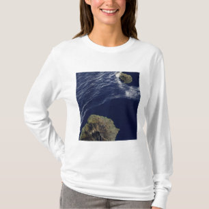 Camiseta Opinión por satélite el príncipe Edward Islands