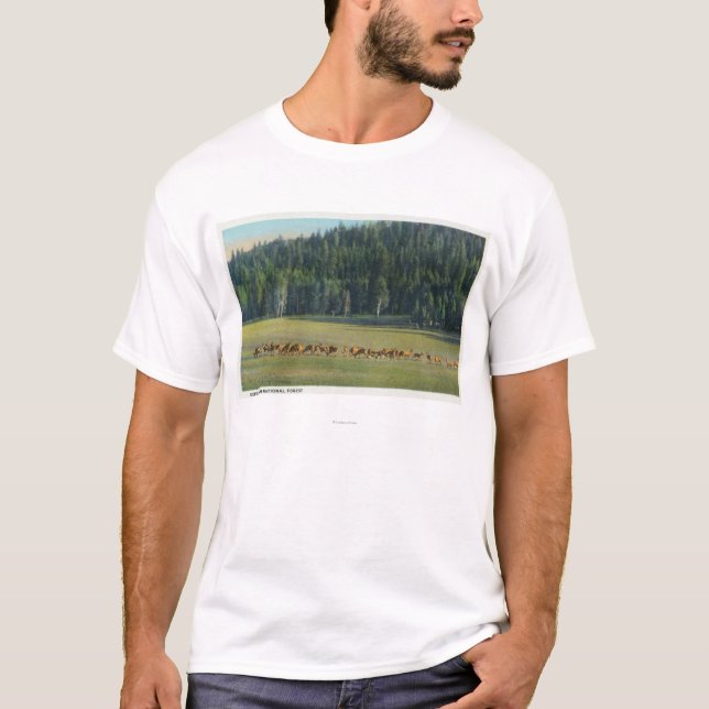 Camiseta Opinión un paquete de ciervos que pastan (Anverso)