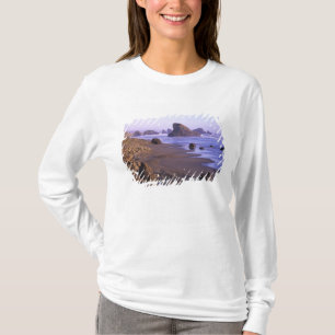 Camiseta OR, Costa de Oregón, Myers Creek, formaciones roco
