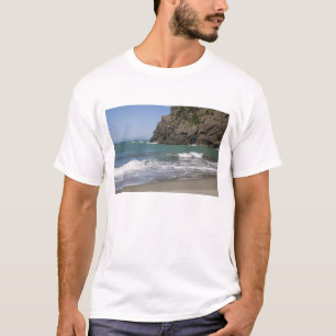 Camiseta OR, Costa de Oregón, Whaleshead Beach, Sur