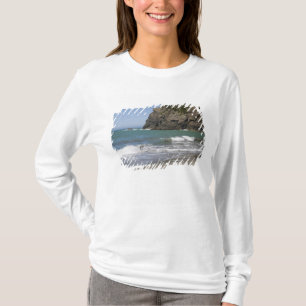 Camiseta OR, Costa de Oregón, Whaleshead Beach, Sur