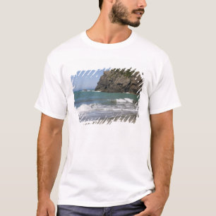 Camiseta OR, Costa de Oregón, Whaleshead Beach, Sur