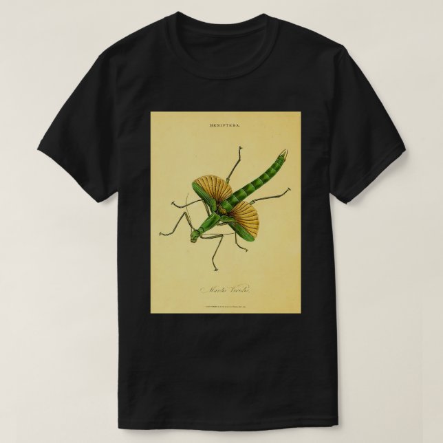 Camiseta Orando a Mantis 21 (Diseño del anverso)