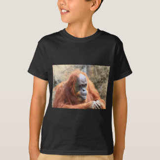 Camiseta Orangután