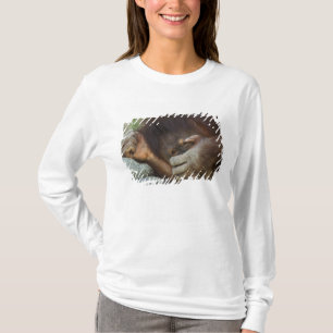 Camiseta Orangután de Sumatra, Pongo pygmaeus