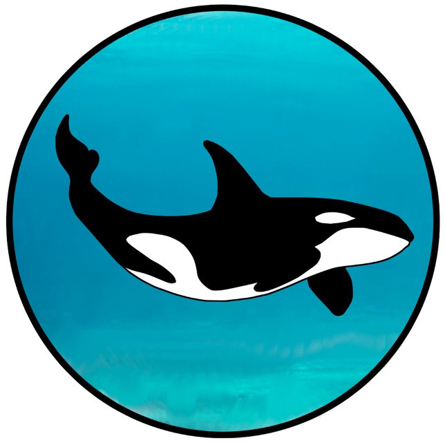 Camiseta Orca (Subido por el creador)