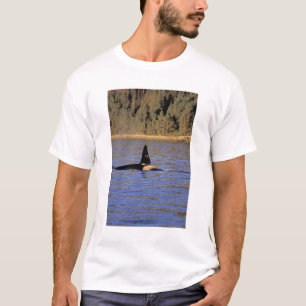 Camiseta Orca o ballena asesina.
