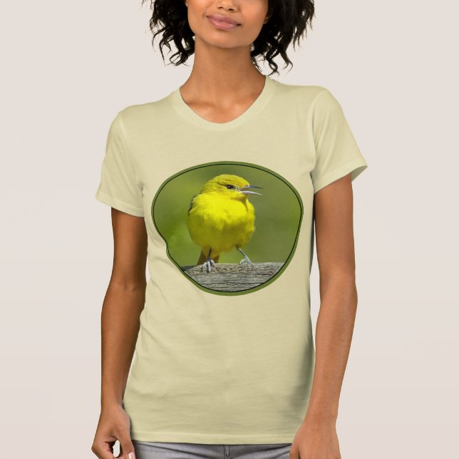 Camiseta Orchard Oriole - Foto original (Anverso)