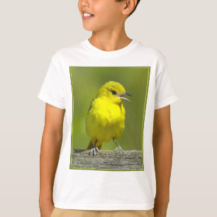Camiseta Orchard Oriole - Foto original