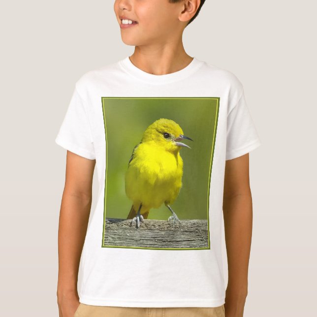 Camiseta Orchard Oriole - Foto original (Anverso)