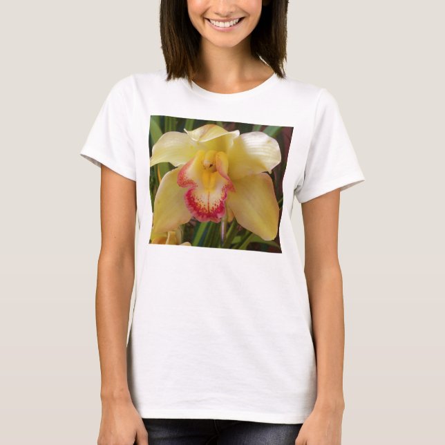 Camiseta orcid (Anverso)