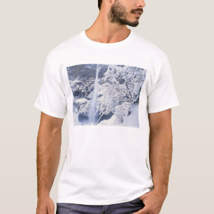 Camiseta Oregón, Área Nacional Escénica del desfiladero de 