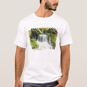 Camiseta Oregón, Cascada en el bosque nacional Willamette