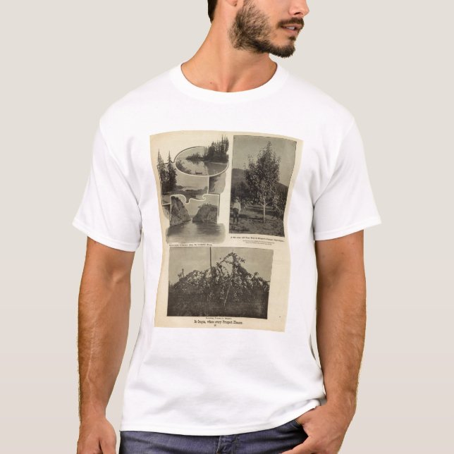 Camiseta Oregon, en donde cada perspectiva satisface (Anverso)