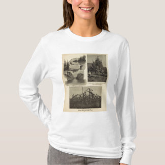 Camiseta Oregon, en donde cada perspectiva satisface