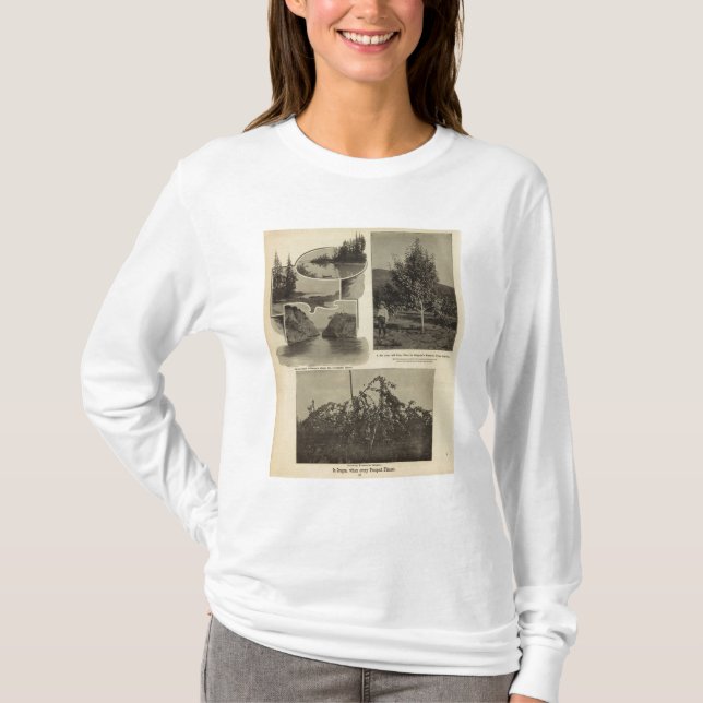 Camiseta Oregon, en donde cada perspectiva satisface (Anverso)