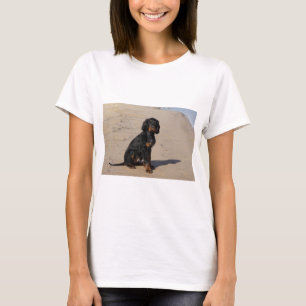 Camiseta Organismo de Gordon
