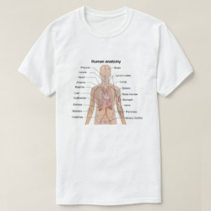 Camiseta Organismos internos Organismos humanos anatomía co