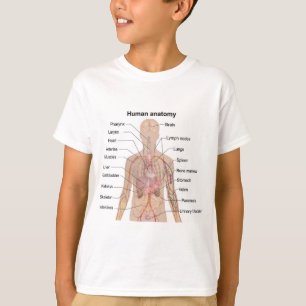 Camiseta Organismos internos Organismos humanos Anatomía co