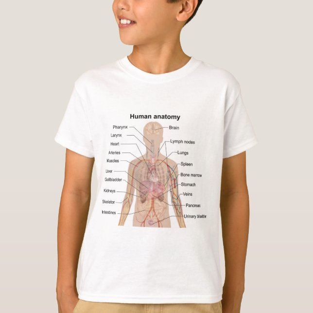 Camiseta Organismos internos Organismos humanos Anatomía co (Anverso)