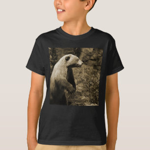Camiseta Orgullo