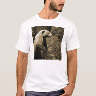 Camiseta Orgullo