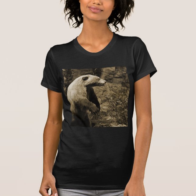 Camiseta Orgullo (Anverso)