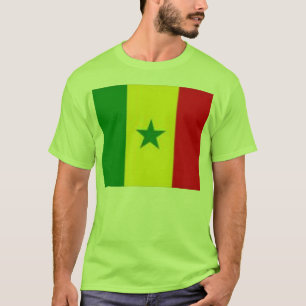 Camiseta Orgullo africano
