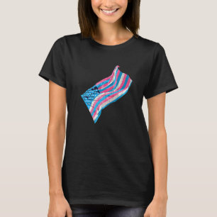Camiseta Orgullo Americano Lgbt Trans Bandera Transsexual E