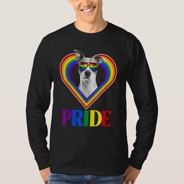 Camiseta Orgullo arcoiris estadounidense de Pitbull (Anverso)