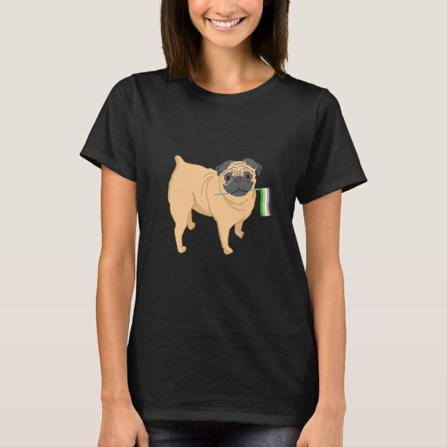 Camiseta Orgullo Aromántico Pug (Anverso)