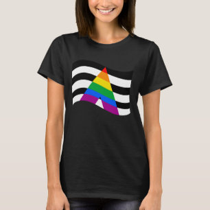 Camiseta Orgullo de Ally