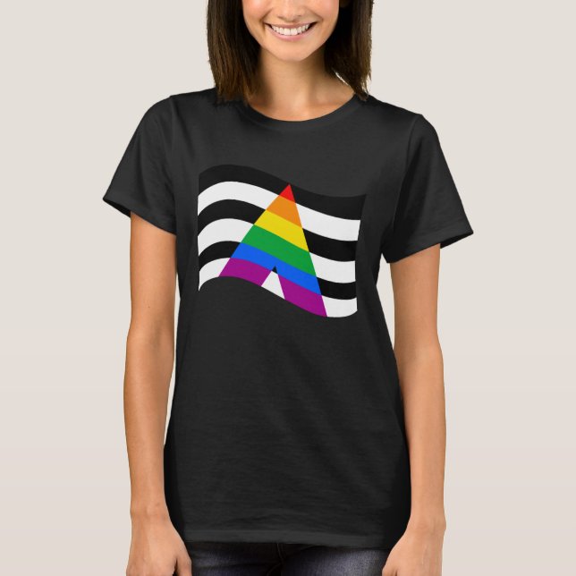 Camiseta Orgullo de Ally (Anverso)