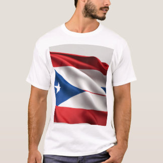 Camiseta Orgullo de Estados Unidos: Audaz diseño de camisas
