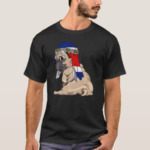 Camiseta Orgullo de la bandera de Costa Rica de la taza de 