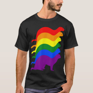 Camiseta Orgullo Gay Ferret LGBT Bandera Arcoiris Concienci