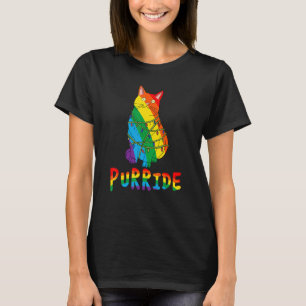 Camiseta Orgullo gay lindo arcoiris luces Purride