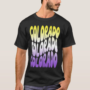 Camiseta Orgullo gay no binario Colorado LGBTQ LGBT NB Enby