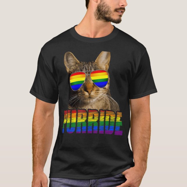 Camiseta Orgullo Gay Para Mujeres Hombres Lgbt Cat Purride  (Anverso)