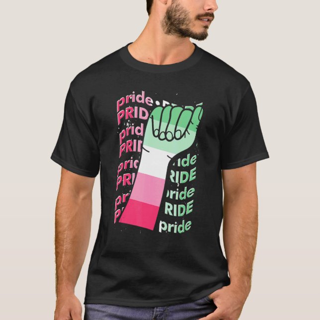 Camiseta Orgullo Gay Puño Bandera Abrosexual Mes Orgullo Lg (Anverso)