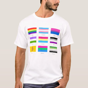 Camiseta Orgullo LGBTQIA 9 x BANDERAS Moda de concientizaci