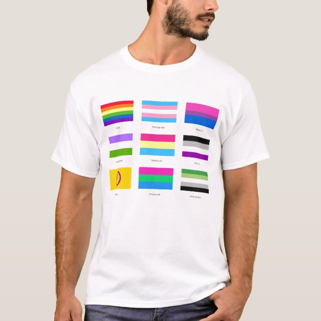 Camiseta Orgullo LGBTQIA 9 x BANDERAS Moda de concientizaci (Anverso)
