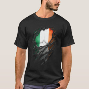 Camiseta Orgulloso patrimonio irlandés destruido Irlanda Fl